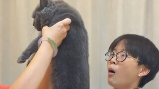 Never hold a cat like this! You'll end up with scratches all over your face in no time!!!