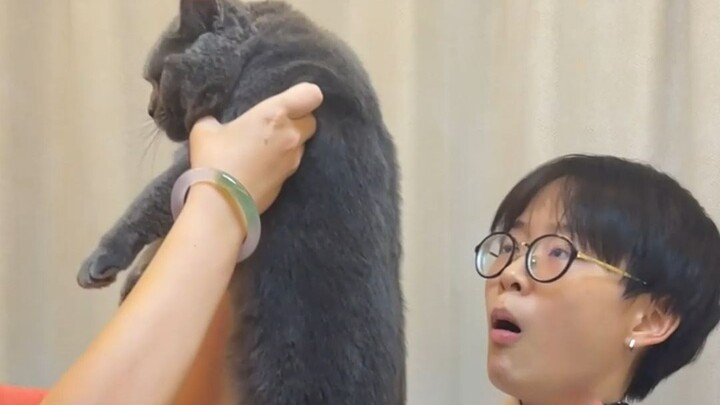 千万不要这样抱猫！一不小心就满脸是伤！！！