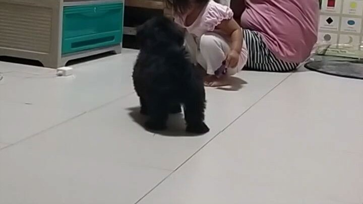 my baby Luna and my little dog and cat.