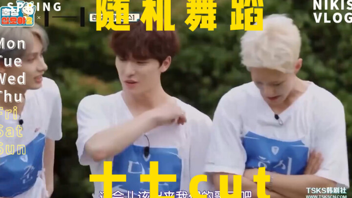 【SEVENTEEN】随机舞蹈十七cut
