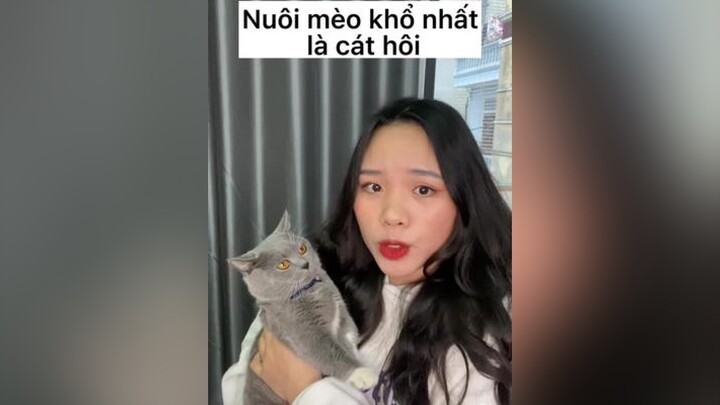 Nuôi mèo trong phòng kín có mùi lắm không các bác 🤧🤧 meohay meow cat meomeo mèo cát_mèo