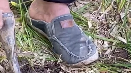 Armless brother digs winter bamboo shoots with his toes
