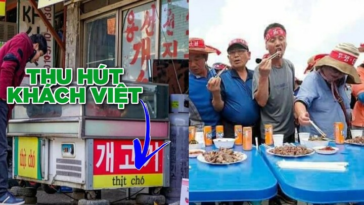 Cửa hàng thịt cho ở Hàn Quốc viết tiếng Việt để thu hút khách hàng- Top comment hài Face Book