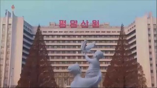 Trigêmeos nº 556 recebem alta da Maternidade de Pyongyang