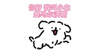 【线条小狗】2020年9月27日小白诞生了