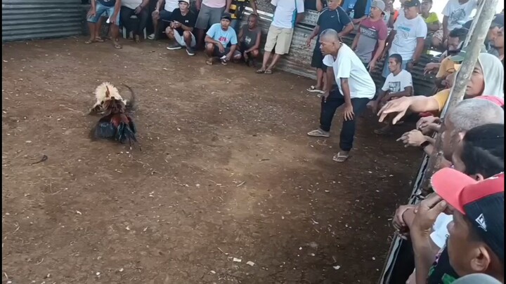 kanawayon Of Bukidnon
