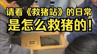 《离谱源自于生活》