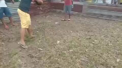 pulang basag vs pulang latum