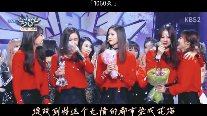 【مجموعة الفتيات】“أنا الوردة التي تتفتح بين المباني”