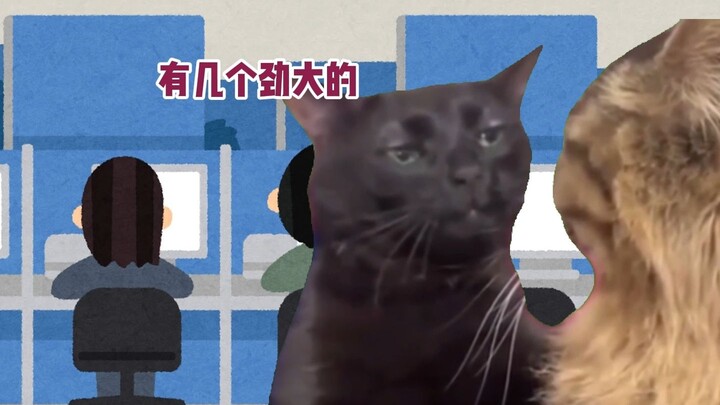 【Meme kucing】Pelumasan yang membakar dan burung kecil yang kesakitan