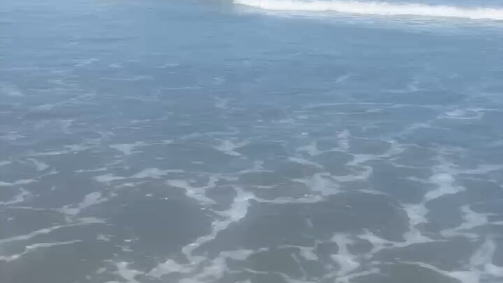 生命已经如此脆弱！人，真不能折腾自己！懒惰躺平就是最大的智慧和努力[合十][合十][合十]