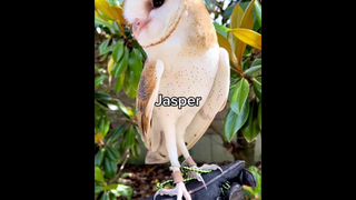 ถ้าเธอเหนื่อยพร้อมจะเป็นที่ซบ ถ้าเธออยากคบเราพร้อมเป็นที่รัก