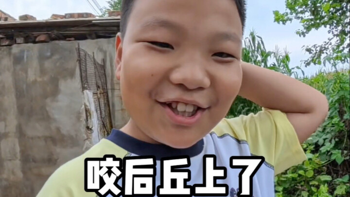 ชีวิตฤดูร้อนในชนบทของฉัน