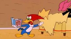 Woody Woodpecker E87