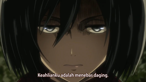 Mikasa Mengkeren Yang Sesungguh nya !! (Shingeki no Kyojin Eps.09 Part.40 Sub Indo)