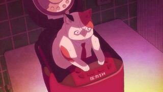 Ternyata Semua Kucing Rasa Penasarannya Sangat Tinggi. Termasuk Kucing Alien Ini!!!