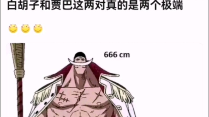 白胡子和贾巴这两对真的是两个极端【海贼王】