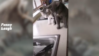 fm12 - Những khoảng khắc vui nhộn hài hước