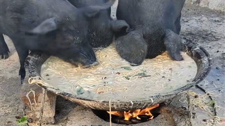 Come over and eat hot pot together, three and one are missing