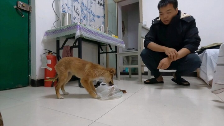 The weather was too cold, so I opened a heating room and gave the stray dog a hot bath. I spent 30 y