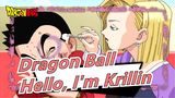 [Dragon Ball] Hello, Everyone, I'm Krillin, See, She Is My Wife, Happy Qixi Festival