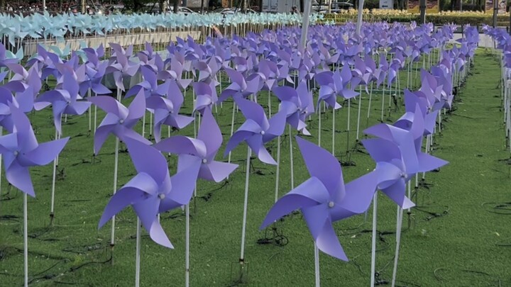 One windmill’s all about slacking—another one works its butt off! Am I a genius of the observation w