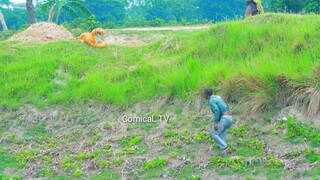 รวมคลิปหัวเราะน้ำตาไหล ep 204