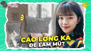 Lần Đầu Tự Làm Chiếc Mũ Từ Lông Lũ Mèo | ĐŨY MÈO COLLECTION