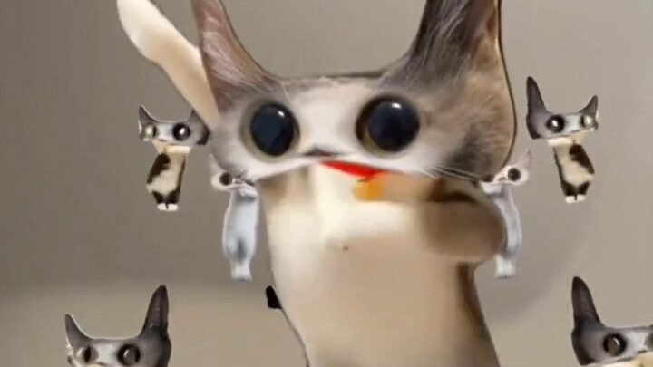 Tôi nghĩ tôi đã bị rắn đầu độc