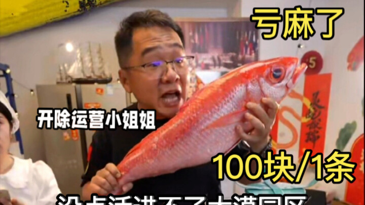 ลุงต้าโม่: สาวออปฯ มือใหม่วันแรกที่มาทำงาน ปรับราคาเจ้านกหางแดงผิด ขาดทุนไปหลายหมื่นหยวน เข้างานวันเ