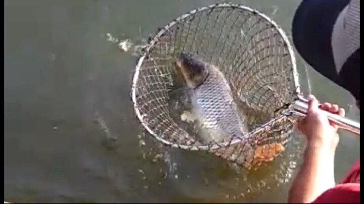 Mancing loh Mancing