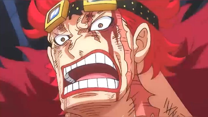 One Piece 17 Conqueror Haki Life Cards revealed, 3 women and 14 men! Akainu, Kizaru, and Aokiji are 