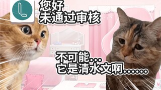 【Cat meme】The life of a female fan being backstabbed by a lofter's sensitive words