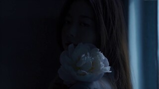 [ภาพยนตร์สั้นเรื่องการถ่ายภาพสไตล์นอร์ดิก] แสงสีขาวแห่งวันขั้วโลก