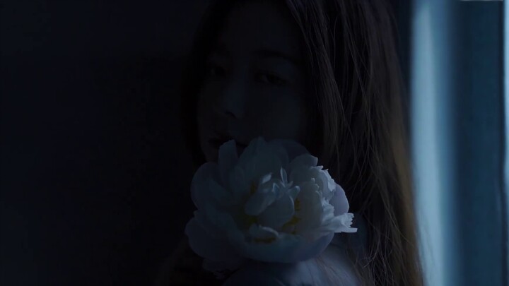 [Nordic photography short film] Polar Day White Light