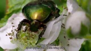 Hiếu kỳ cùng Jonathan Van Ness EP 1 [Sub Việt]