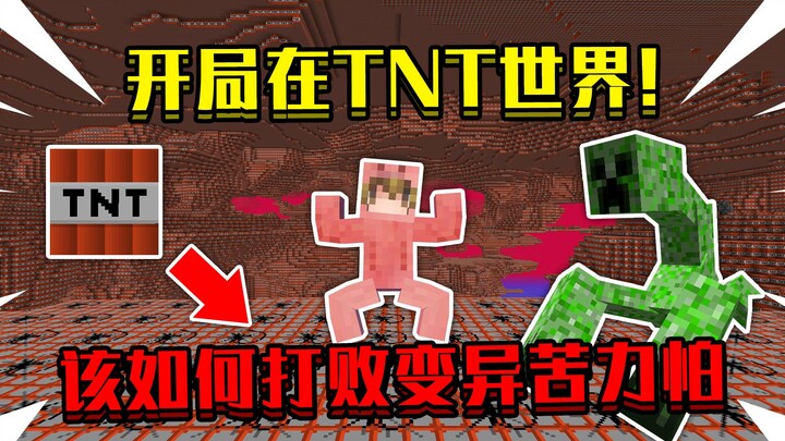 Khi khởi đầu trong thế giới TNT! Cả thế giới toàn là TNT, làm sao đánh bại những con Creeper đột biế