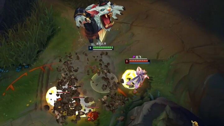 Pohon Tathagata masih ada