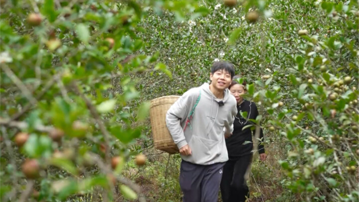 Tumbuhan ini memang sangat ajaib! Setelah melalui proses pengolahan, ia berubah menjadi minyak goren
