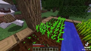 memories of Minecraft noob to pro