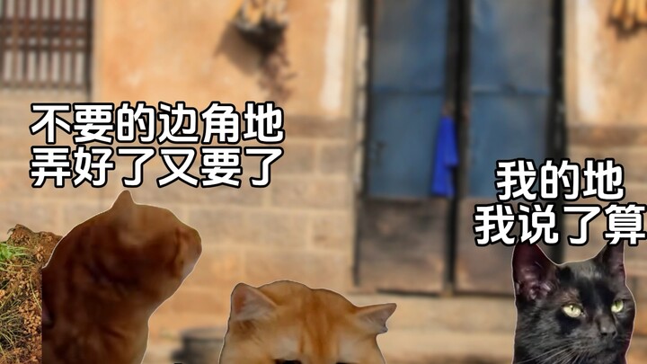 My grandma raised me using her little patch of land #StoriesFromTheInternet#CatMemeTheater#Realistic