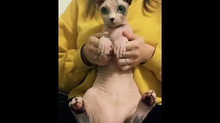 ถ้า "ความเหงา" มันโหด มาจบ "ความโสด" กับพี่ดีกว่า