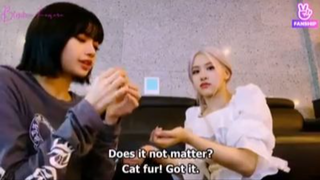 Lisa and Rosé Vlive