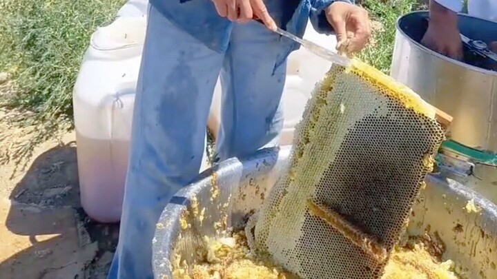 pure honey cutting