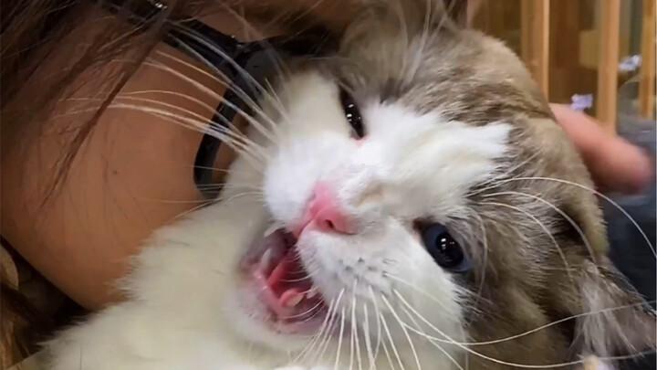 Ông chủ đen tối nhất