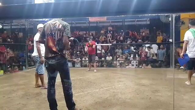 HEME's Perfection Roundhead 2x win