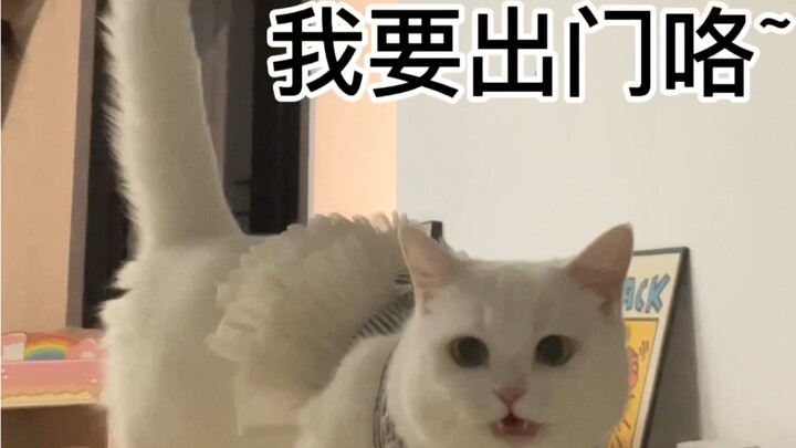 Cảm ơn bạn đã chăm sóc tôi rất tốt.