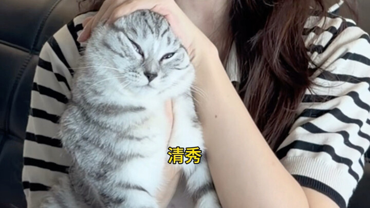 A Self-Help Guide for Cat Owners