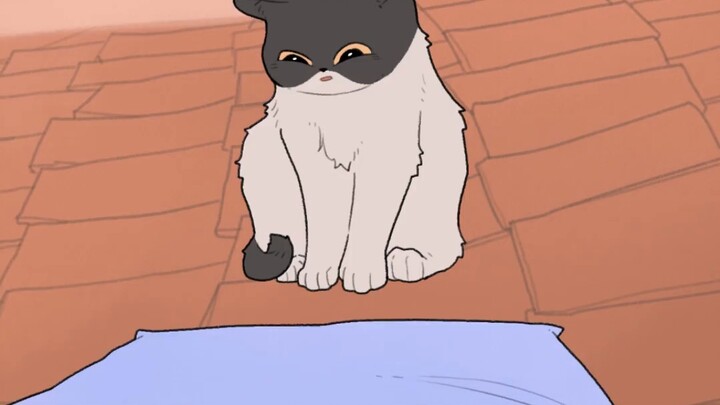 The fallen pillow became the kitten's home.