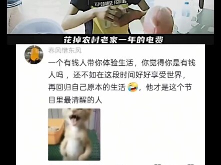 Lúa mì đã chín, giấc mơ cũng nên thức dậy rồi.